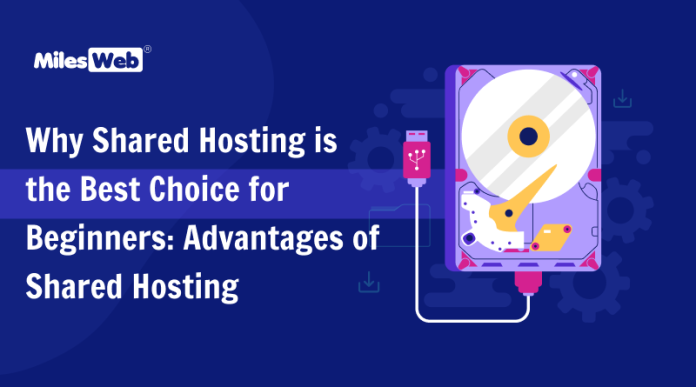 Why Shared Hosting is the Best Choice for Beginners: Advantages of Shared Hosting